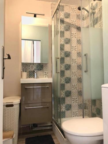 une salle de bain avec une douche, des toilettes et un lavabo dans l'établissement Studio Arcachon vue mer en hyper centre, à Arcachon