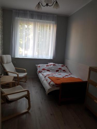 グダニスクにあるAnmar Kościuszkiのベッドルーム1室(ベッド1台、窓、椅子付)