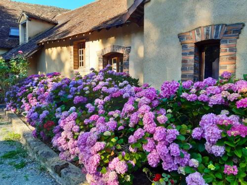 a bunch of purple flowers in front of a house at Chambres d'hôtes Domaine De La Jonquière, Bouloire in Bouloire