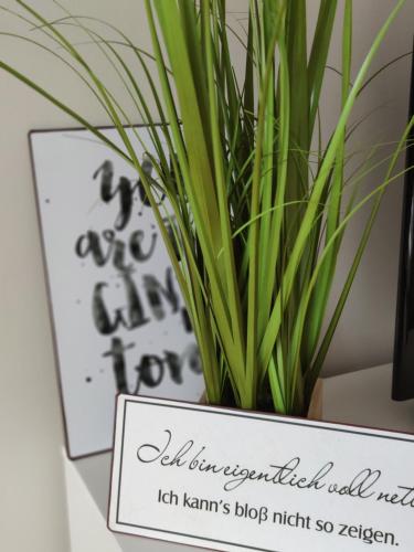a plant in a vase with a sign next to it at HAuszeit - Zeit für dich - Zeit am See in Neufeld an der Leitha