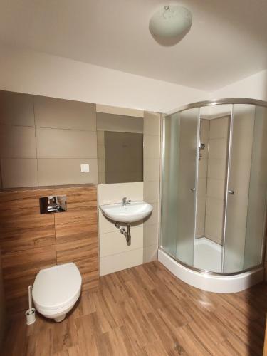 a bathroom with a toilet and a sink and a shower at Janickowa Ostoja - Noclegi w Zakopanem in Zakopane