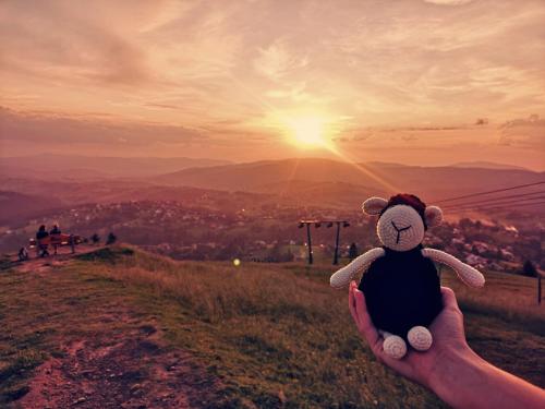 a person holding a teddy bear in their hand at Czarna Owca in Istebna