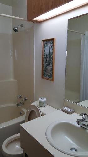 a bathroom with a sink and a toilet and a mirror at Pines Motel in Hinton