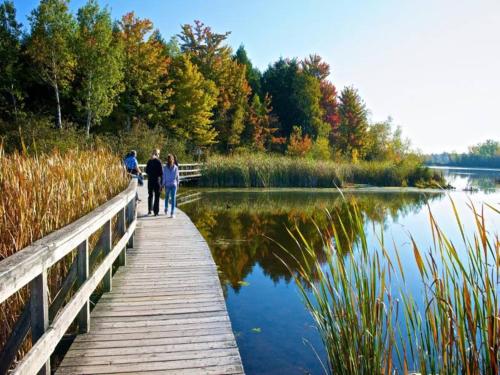 a group of people walking on a wooden bridge over a lake at Appartement REZ DE JARDIN avec SPA entre la MER et Montpellier 10mn in Lattes