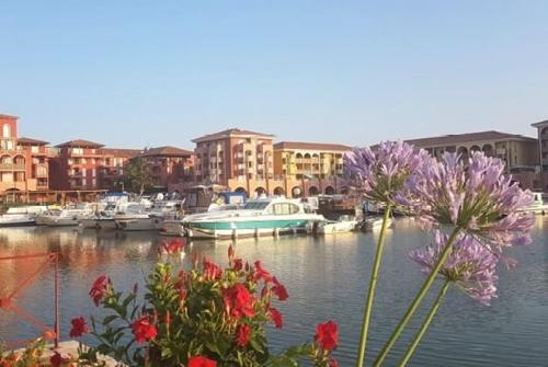 a marina with boats and flowers in the water at Appartement REZ DE JARDIN avec SPA entre la MER et Montpellier 10mn in Lattes