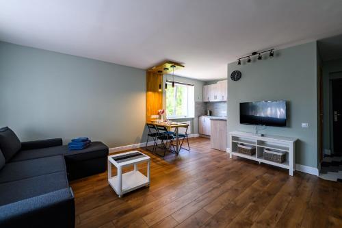 een woonkamer met een bank en een tv en een keuken bij Beachside Oak Studio in Liepāja