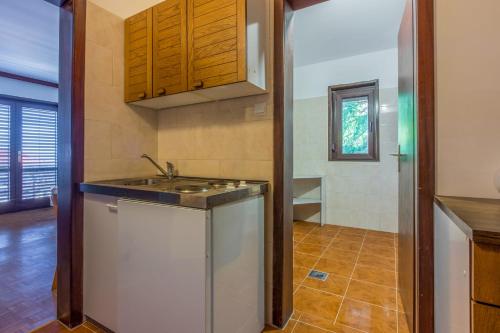 Kuchyňa alebo kuchynka v ubytovaní Apartments DESA