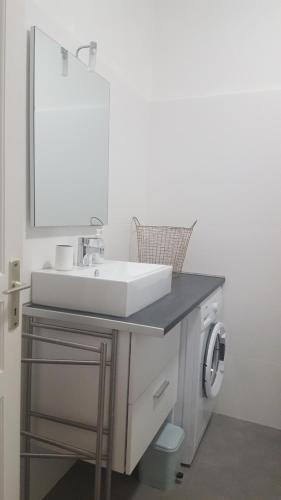 uma casa de banho com um lavatório e uma máquina de lavar roupa em Nice France em Nice