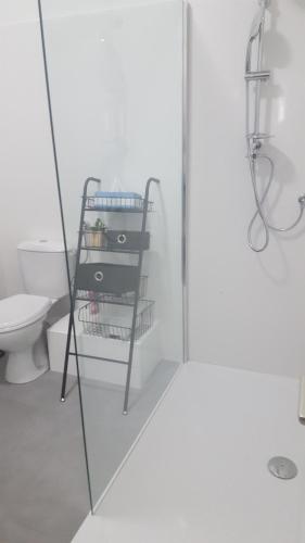 La salle de bains est pourvue de toilettes et d'une porte de douche en verre. dans l'établissement Nice France, à Nice
