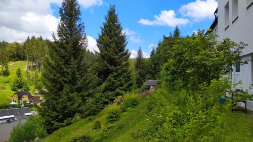 einen grasbewachsenen Hügel mit Bäumen und ein Haus im Hintergrund in der Unterkunft Greizer Kammhütte Gaststätte & Pension in Klingenthal