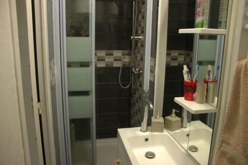 a bathroom with a shower with a sink and a shower at Bel petit appartement in Charleville-Mézières