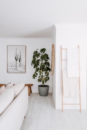 a living room with a white couch and a plant at 27 Degrees Kalbarri in Kalbarri