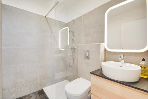 une salle de bain avec un lavabo, des toilettes et un miroir dans l'établissement Le cocon des Ponts, à Nancy