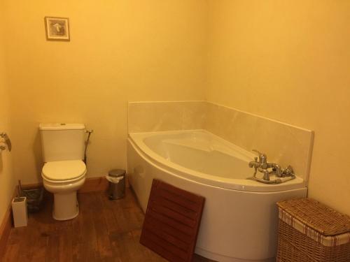 a bathroom with a bath tub and a toilet at Le Chai Gite in Saint-Pierre-de-Côle