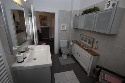une salle de bain avec un lavabo blanc et des toilettes dans l'établissement Le gîte du Moulin, à Colmar