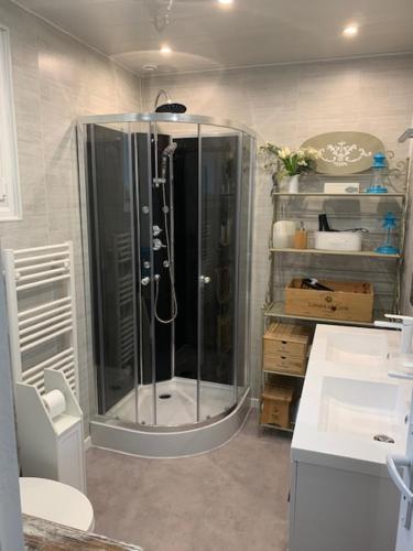 a bathroom with a shower and a toilet and a sink at maisonpetitgasbiganos in Biganos