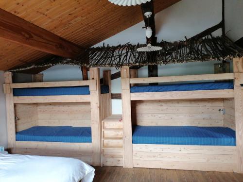 2 Etagenbetten in einem Zimmer mit einer Decke in der Unterkunft Couettes et Picotin in Durbuy