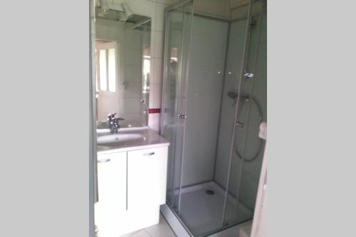 W łazience znajduje się prysznic i umywalka. w obiekcie Maison de montagne w mieście Le Vernet-Sainte-Marguerite