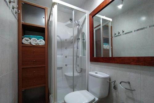a bathroom with a toilet and a shower and a mirror at LOS CIERVOS - Peña del Oso in El Espinar