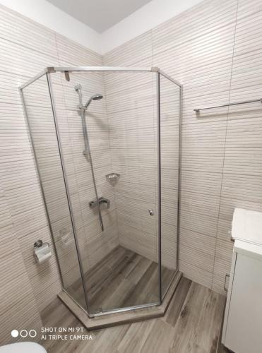 La salle de bains est pourvue d'une douche avec une porte en verre. dans l'établissement STUDIO LOTUS, à Mamaia