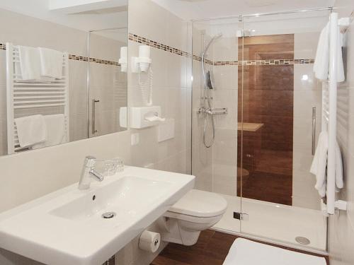 La salle de bains est pourvue de toilettes, d'un lavabo et d'une douche. dans l'établissement Hotel Goldener Adler, à Linz