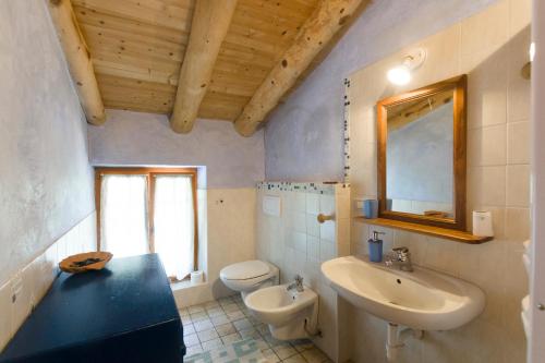 a bathroom with a sink and a toilet and a mirror at Agriturismo Casa Essenia in Condino