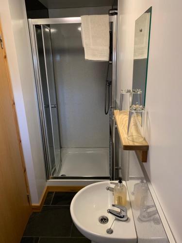 a bathroom with a shower and a white sink at Old Skool Accommodation in Trawsfynydd