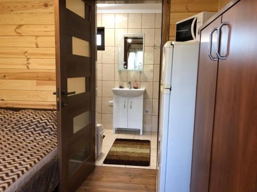 a small bathroom with a refrigerator and a sink at Казковий Світязь in Szack