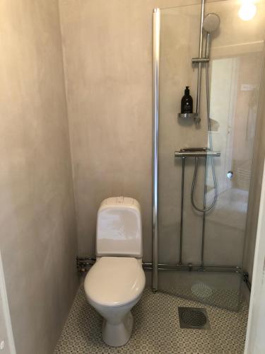a small bathroom with a toilet and a shower at Havings skafferi in Lysekil
