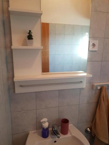 La salle de bains est pourvue d'un lavabo et d'un miroir. dans l'établissement Apartmani Dalmatinka, à Metajna