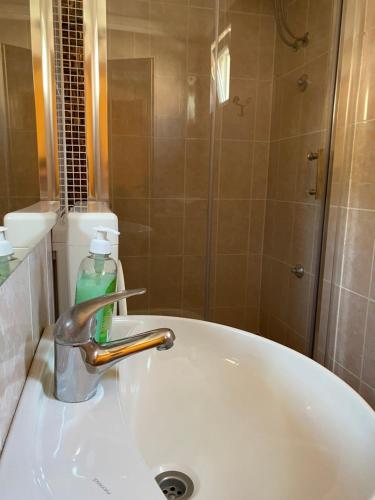 a bathroom with a sink with a soap bottle on it at Apartments Tajana in Novigrad Istria