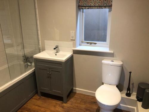 a bathroom with a toilet and a sink and a shower at The Swan Hotel, Alresford in Winchester