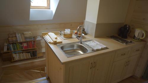 a kitchen with a sink and a book shelf at Willa Pod Słońcem in Zakopane