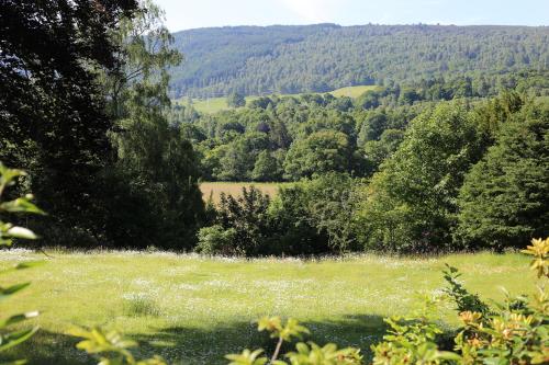 a field of grass with trees in the background at Pitlochry Dundarach Hotel in Pitlochry