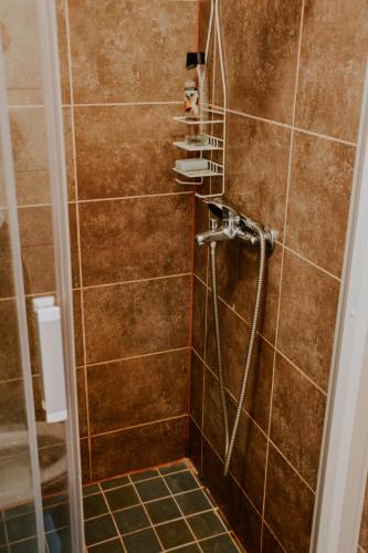 a shower with a hose in a bathroom at Viesu nams Lauciņi in Lāde