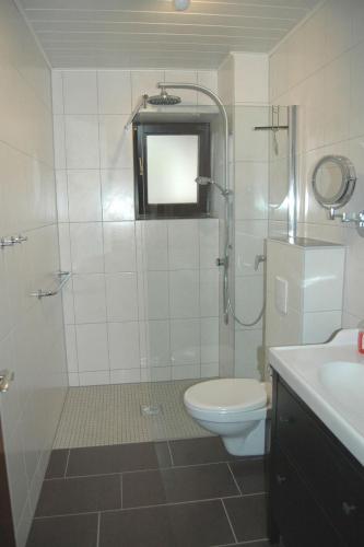 a bathroom with a shower and a toilet and a sink at Ferienhaus-Vogelsfelsen in Saarhölzbach