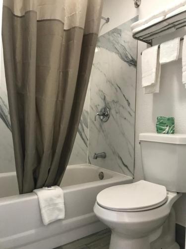 Bilik mandi di Motel 6-Alma, AR l-40