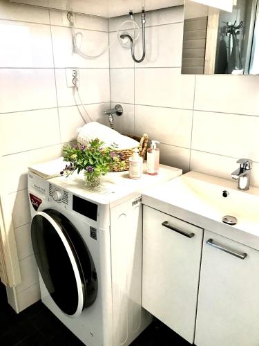 a washing machine in a bathroom with a sink at Kalajoen Hiekkasärkät Auringonsäde A1 in Kalajoki