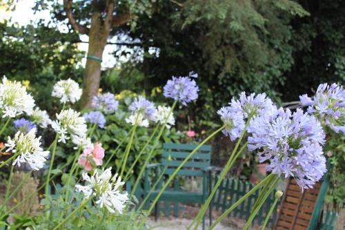 a bunch of purple and white flowers next to a bench at Quinta da Maínha - Charming Houses - Escape to Nature in Braga
