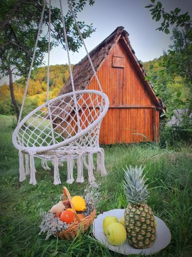 a swing with fruit on the grass with a house at Log cabin Uvac (Vikendica Saponjic) in Nova Varoš