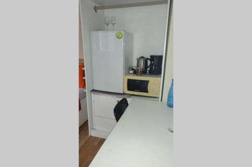 a kitchen with a refrigerator and a microwave at Air conditioned STUDIO in quite garden with barbecue Athens in Athens