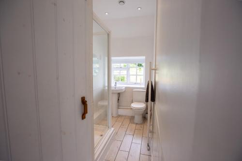 Koupelna v ubytování Gwyllt Cottages
