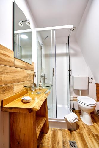 a bathroom with a glass sink and a toilet at Casa Chira in Vişeu de Sus