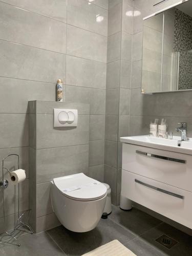 a bathroom with a toilet and a sink at Apartment GARDEN in Mandre