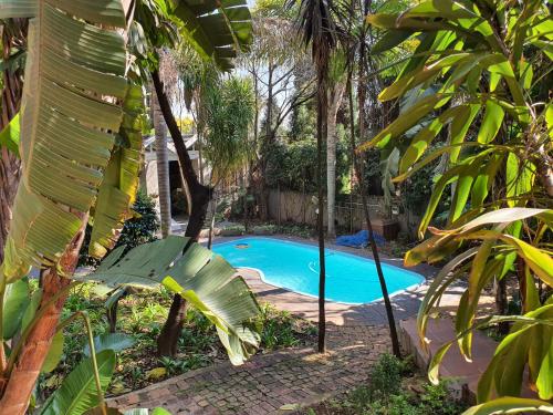 een zwembad in een tuin met een bank en bomen bij Waterhouse Guest Lodge - Indus Street in Pretoria
