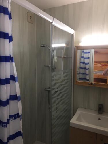 La salle de bains est pourvue d'une douche avec une porte en verre. dans l'établissement Campanule, à Champagny-en-Vanoise