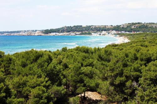 Blick auf einen Strand mit Bäumen und das Meer in der Unterkunft Appartamenti Rivabella D in Gallipoli