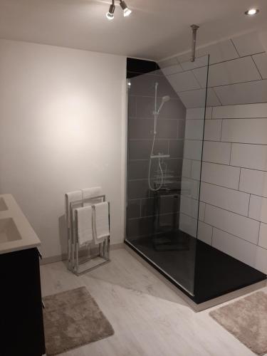 y baño con ducha con pared de cristal. en Maison de campagne en pierre bleue-WIFI et parking, en Bousignies-sur-Roc