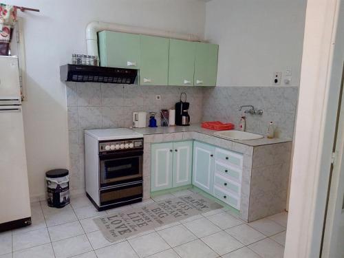 una pequeña cocina con armarios verdes y fregadero en Cozy house 2, en Vrachati