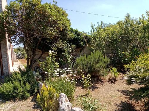 Fotografie z fotogalerie ubytování Il Trullo E Il Fortino v Alberobellu
